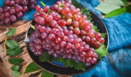 网红吃葡萄瓜视频大全,趣味视频大盘点！